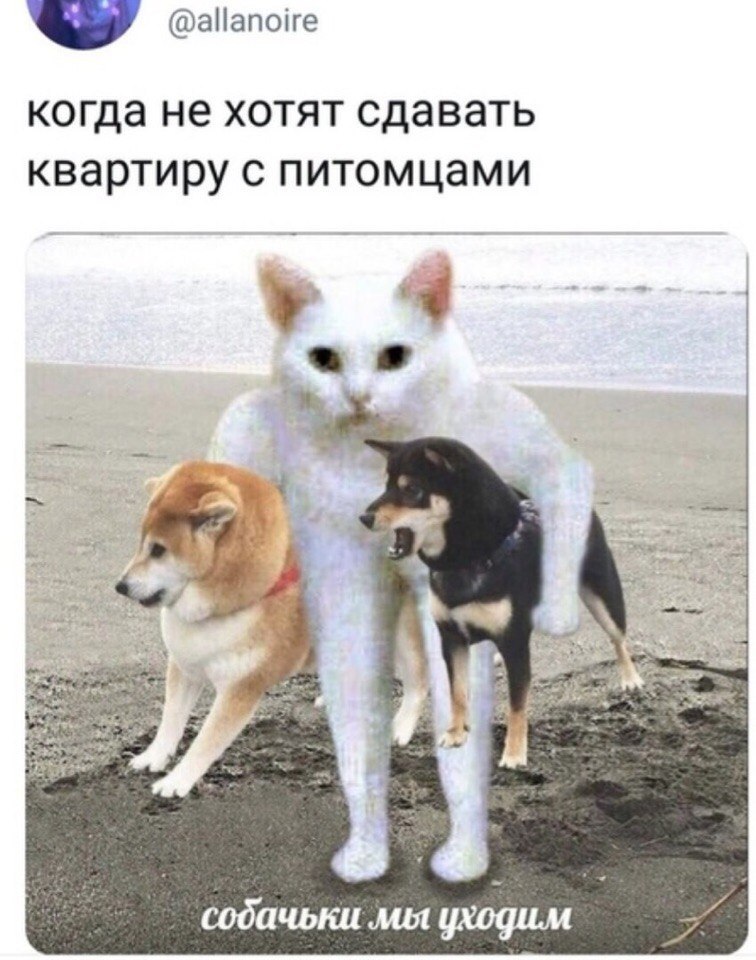 IMG 20190731 101556 737