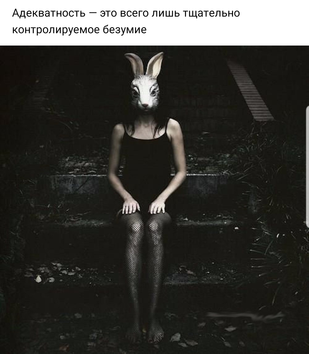 Screenshot 20190925 190341 VK