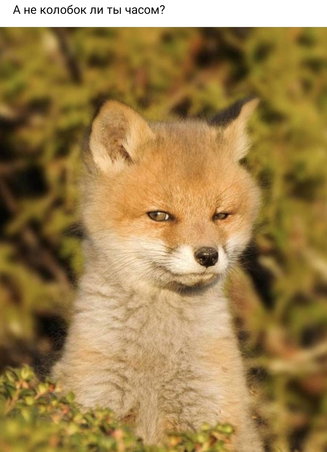 Screenshot 20190930 090908 VK