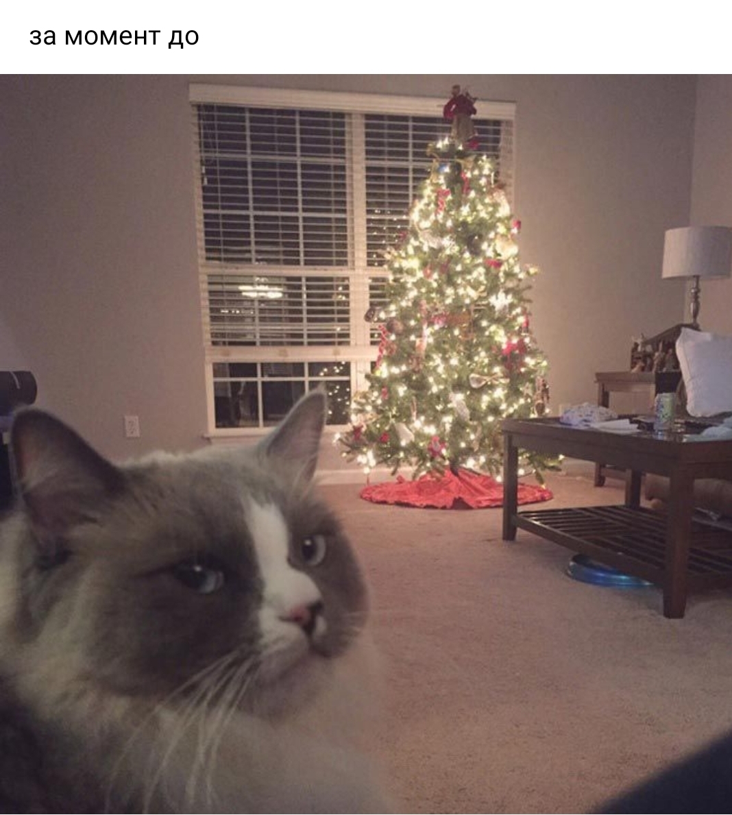 Screenshot 20191227 100647 VK