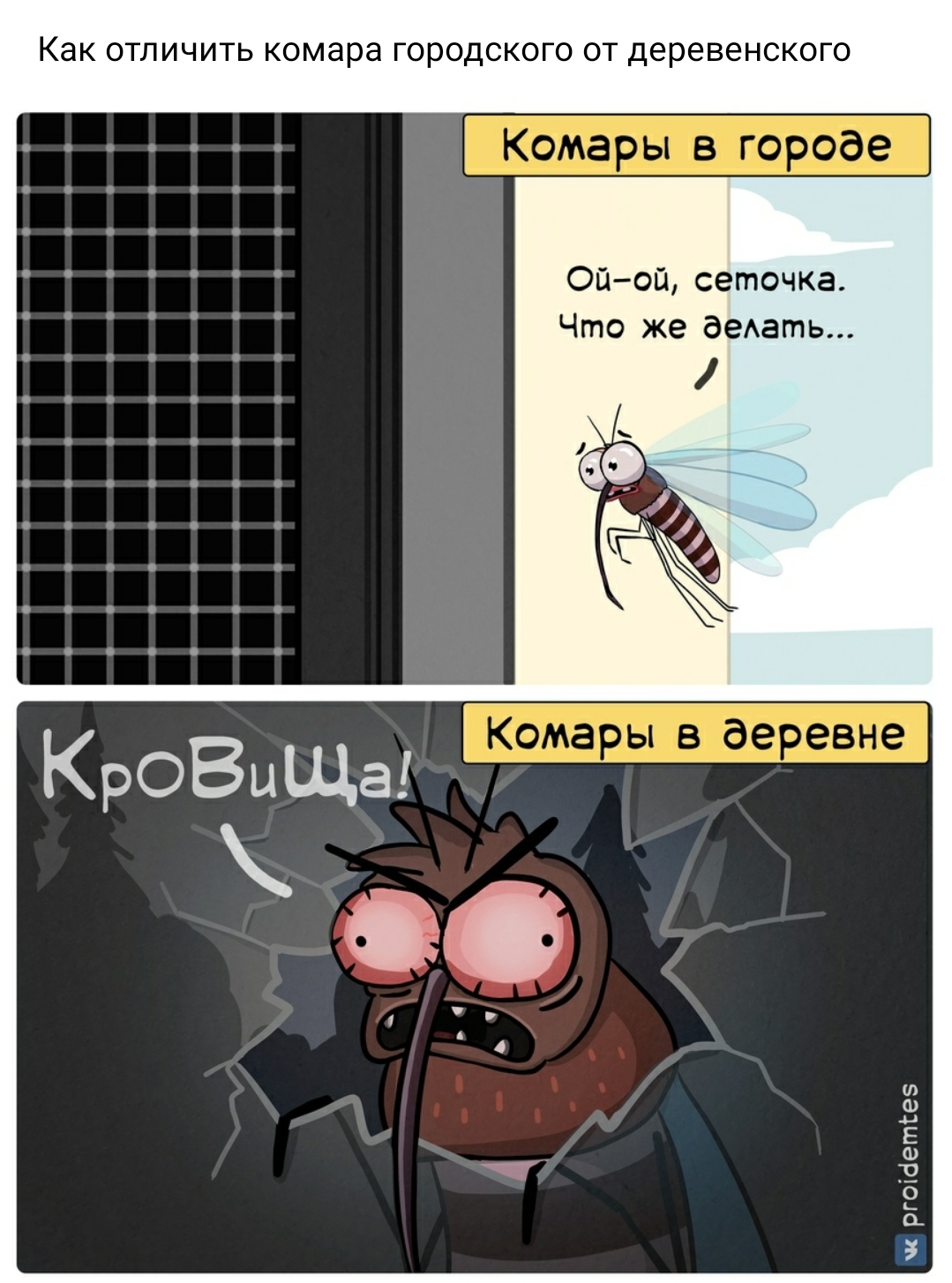 Screenshot 20200808 023807 VK